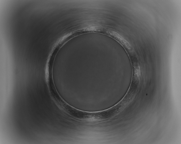 X0000102520678200808151534