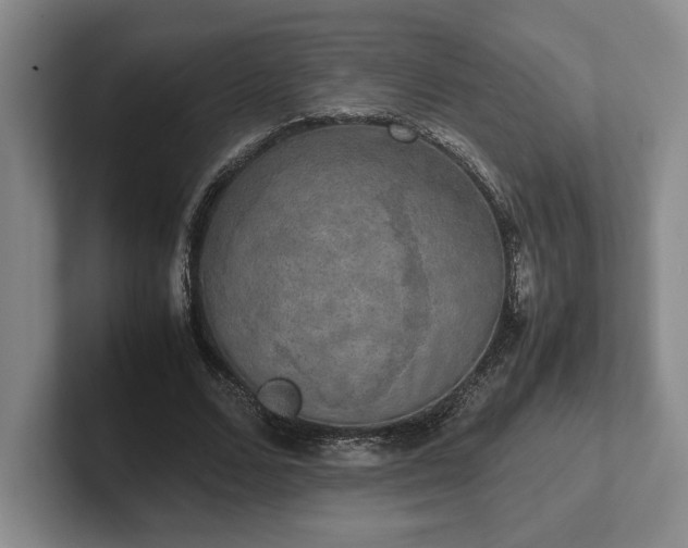 X0000102520680200808151534