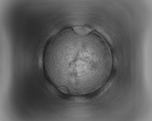 X0000102520681200808151534