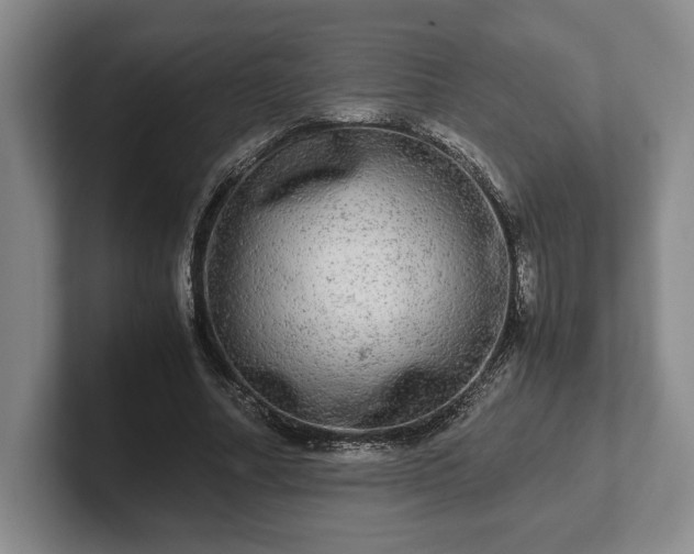 X0000102520682200808151534