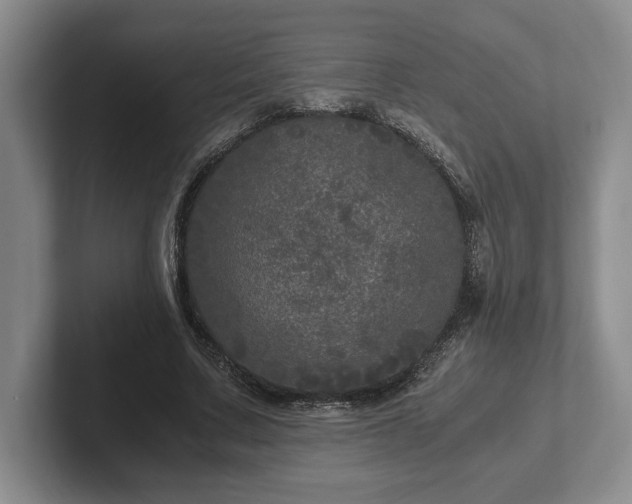 X0000102520683200808151534