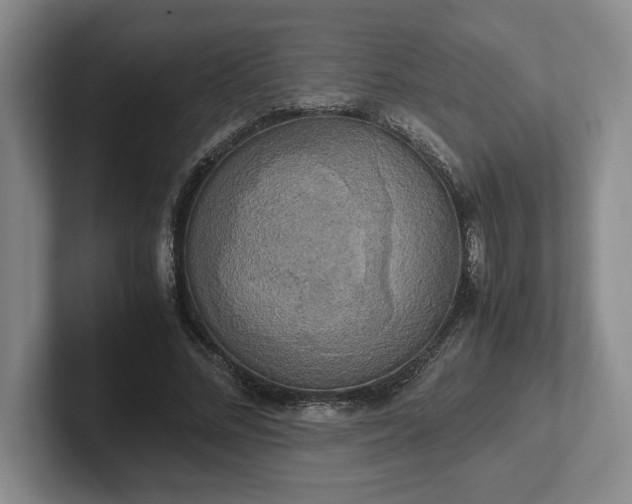 X0000102520684200808151534