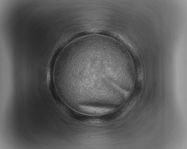 X0000102520685200808151533