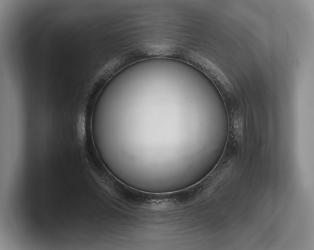 X0000102520686200808151533