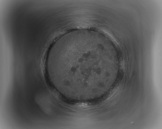 X0000102520687200808151533