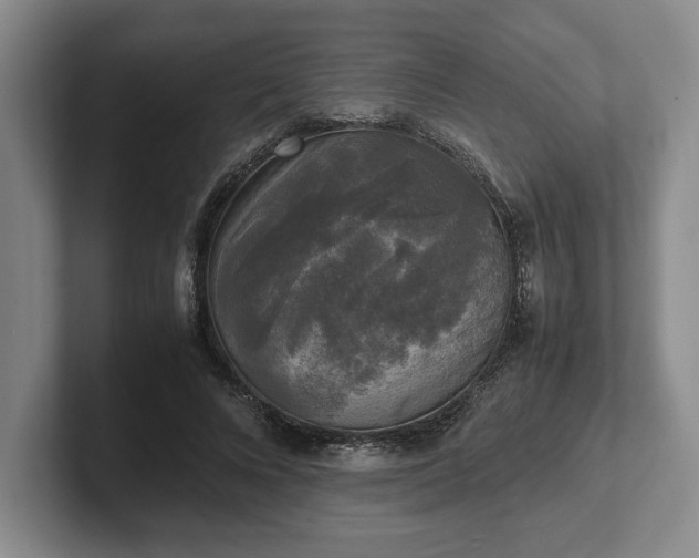 X0000102520688200808151533