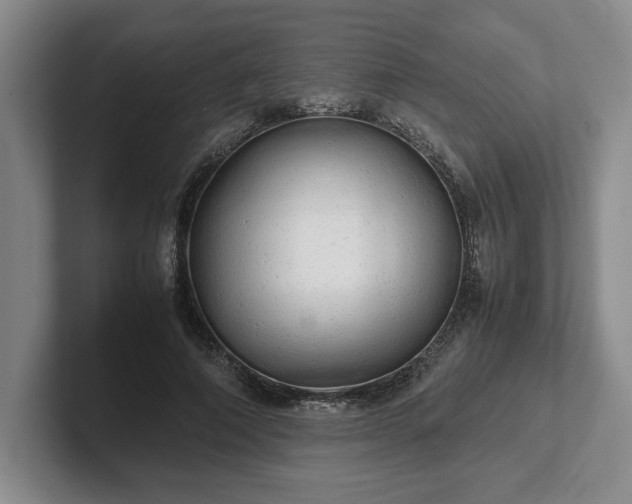 X0000102520690200808151533