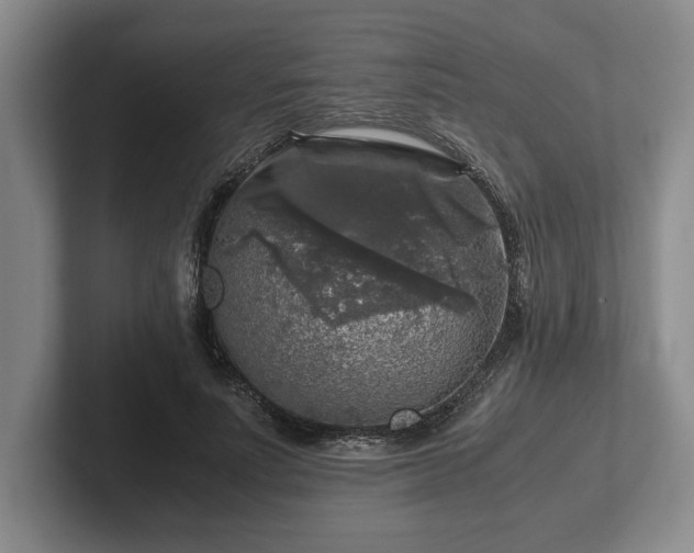 X0000102520691200808151533