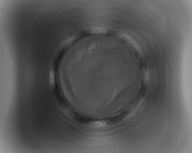 X0000102520692200808151533