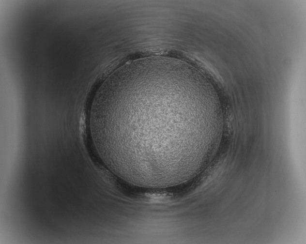 X0000102520693200808151533