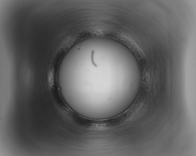 X0000102520694200808151533