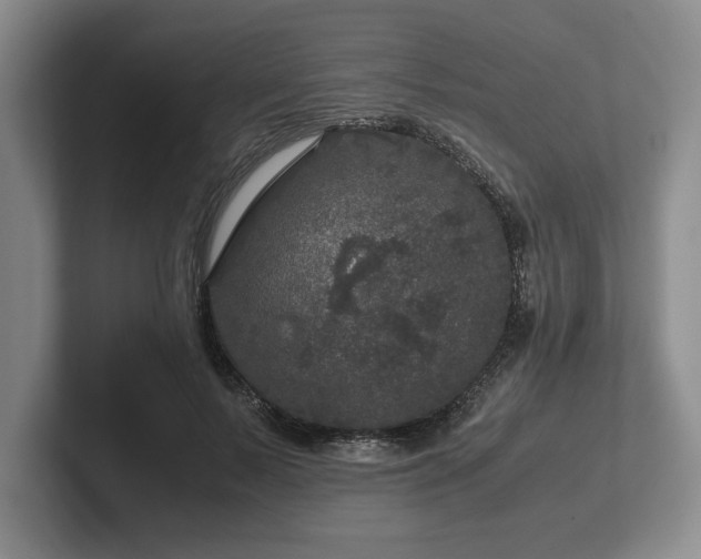 X0000102520695200808151533