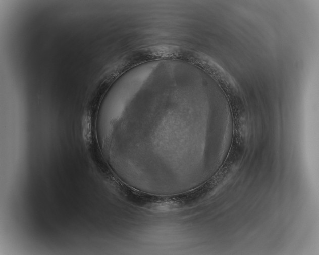 X0000102520696200808151533