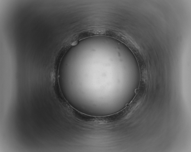 X0000102520697200808151533