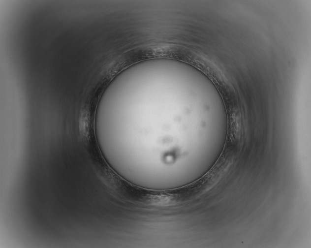 X0000102520698200808151533