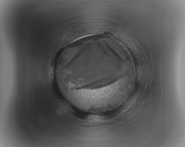 X0000102520699200808151533