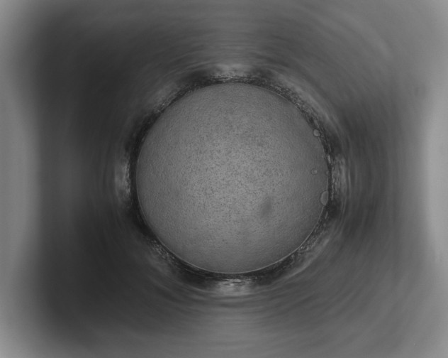 X0000102520700200808151533