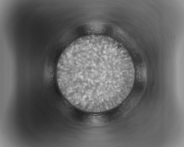 X0000102520701200808151533