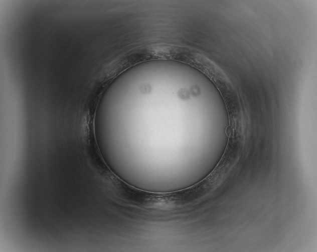 X0000102520702200808151533