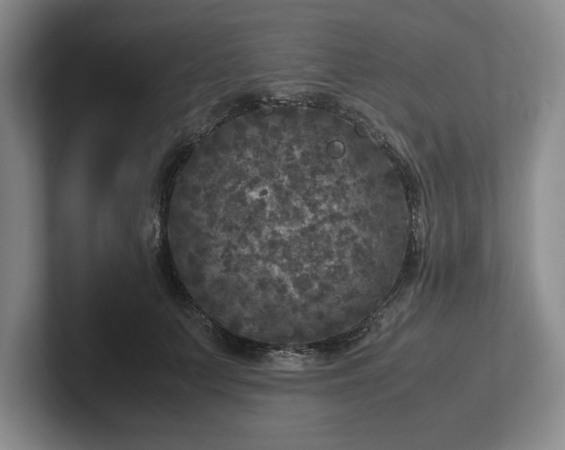 X0000102520703200808151533