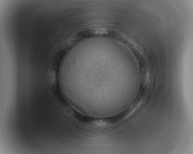 X0000102520704200808151533