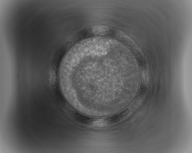 X0000102520705200808151533