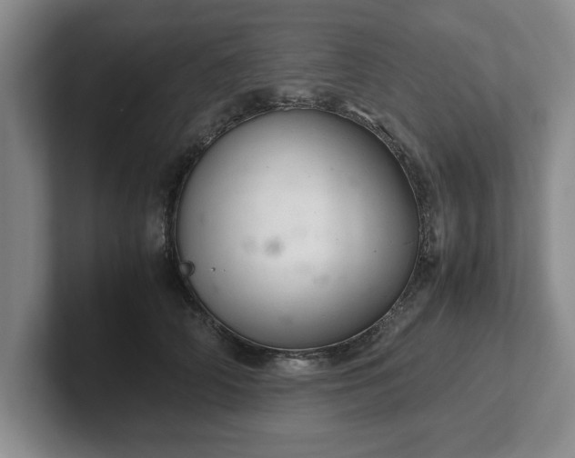 X0000102520706200808151533