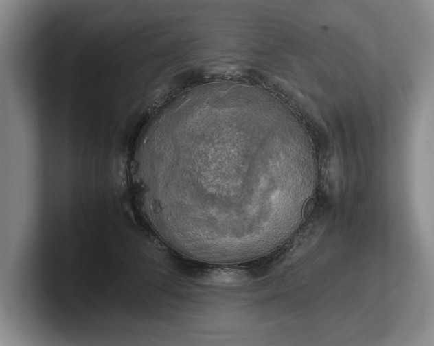 X0000102520708200808151533