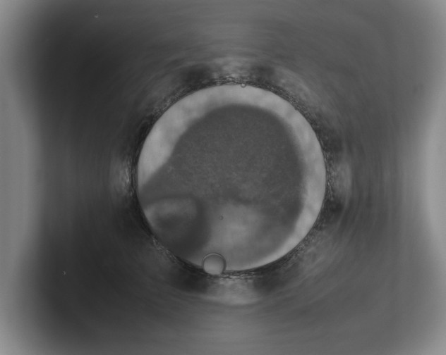 X0000102520709200808151533