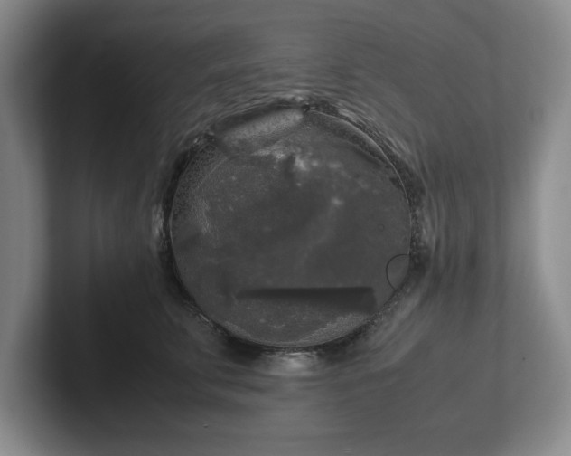 X0000102520711200808151533