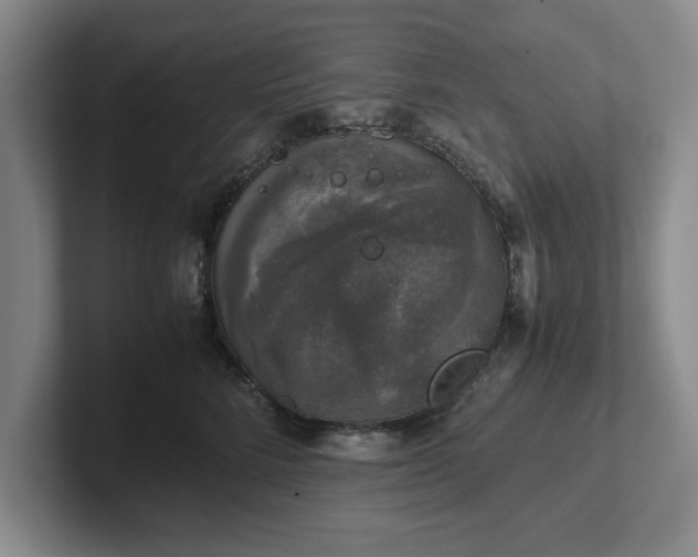 X0000102520712200808151533