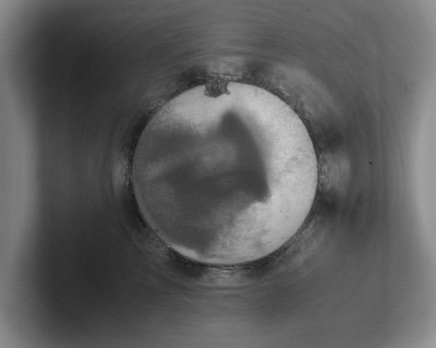 X0000102520713200808151533