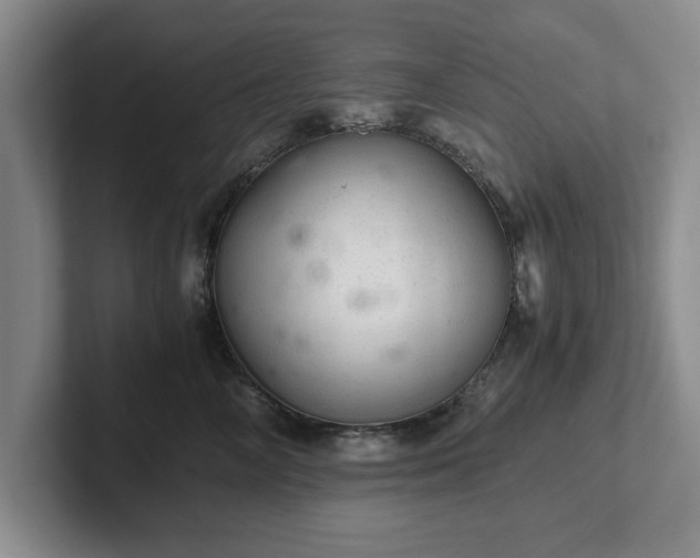 X0000102520714200808151533