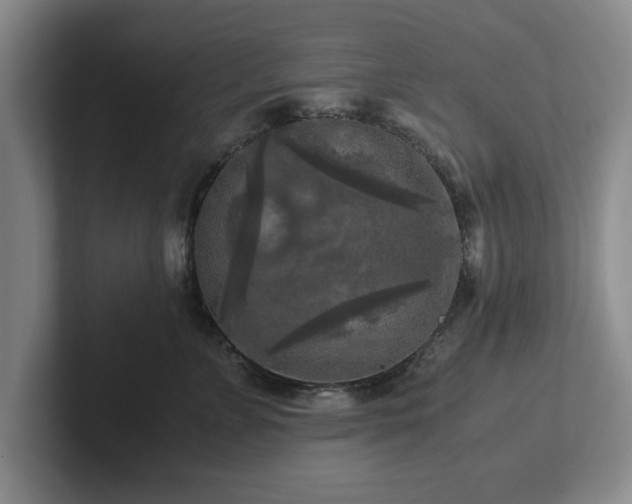 X0000102520715200808151533