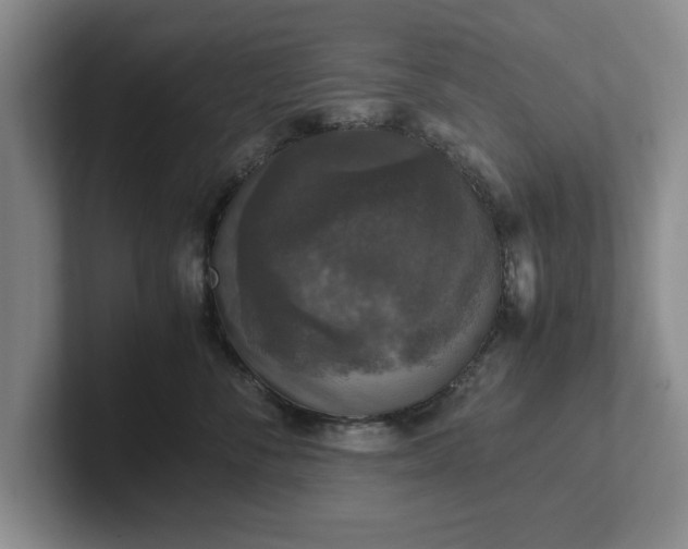 X0000102520716200808151533