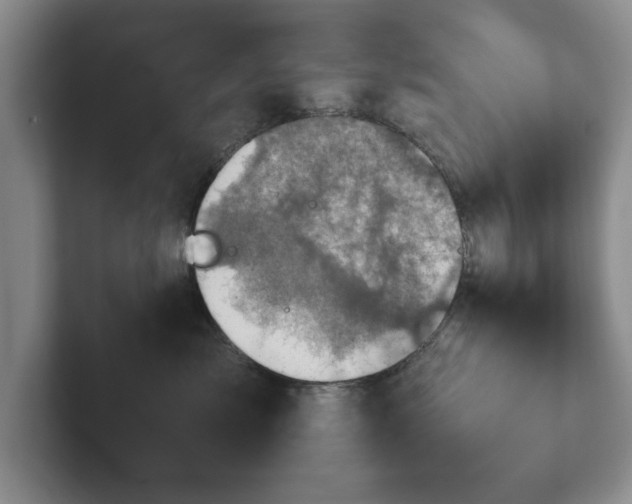 X0000102520717200808151533