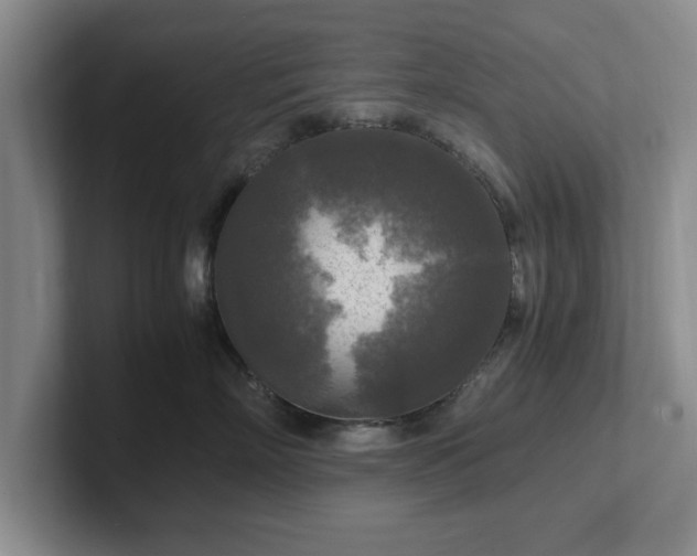 X0000102520718200808151533