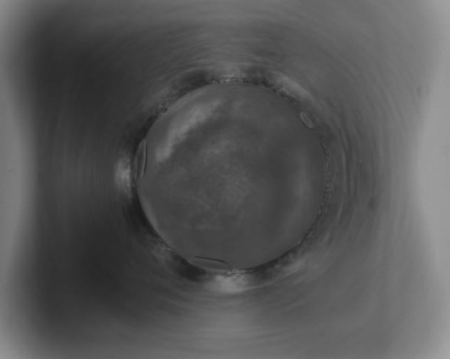 X0000102520720200808151533