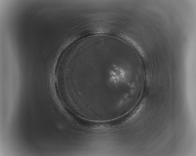 X0000102520721200808151532