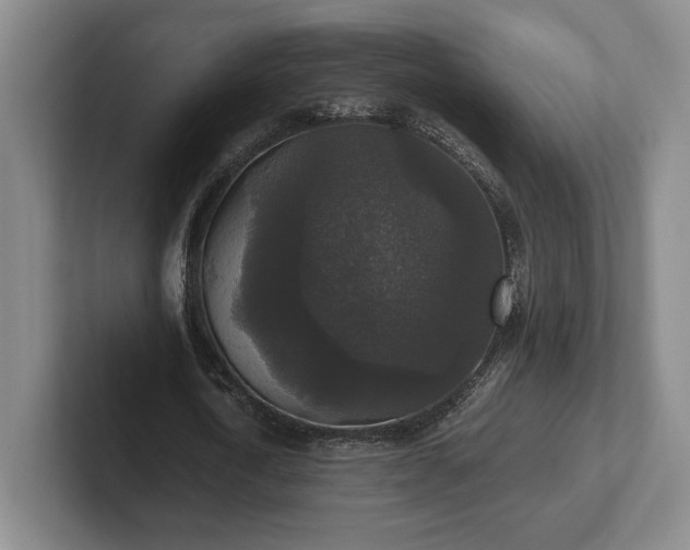 X0000102520722200808151532