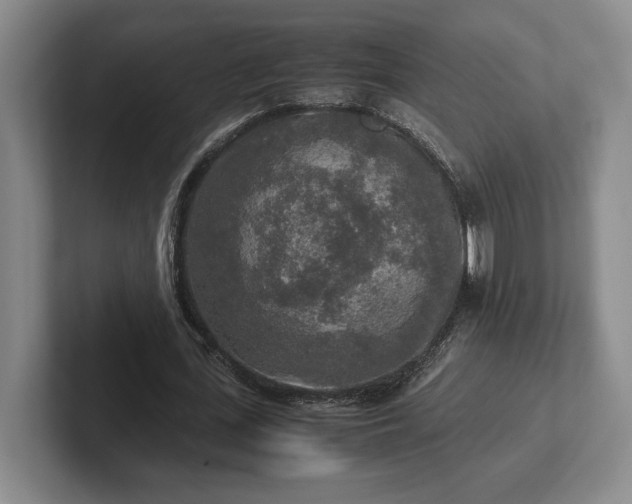 X0000102520723200808151532