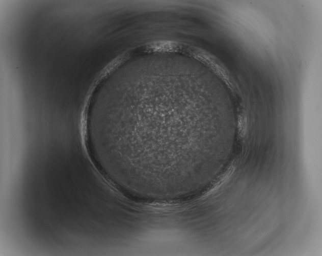 X0000102520725200808151532