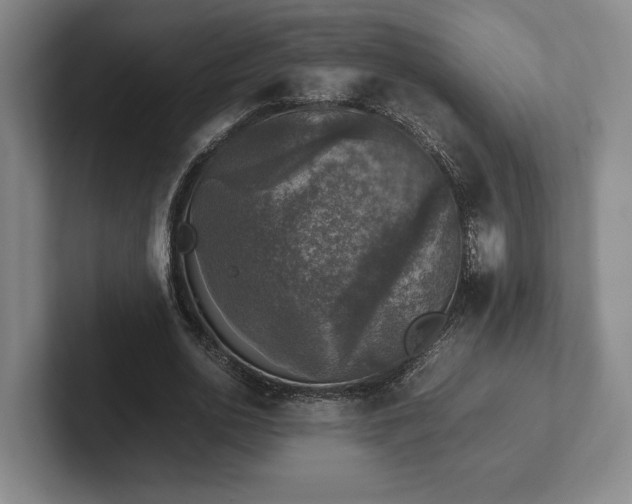 X0000102520726200808151532