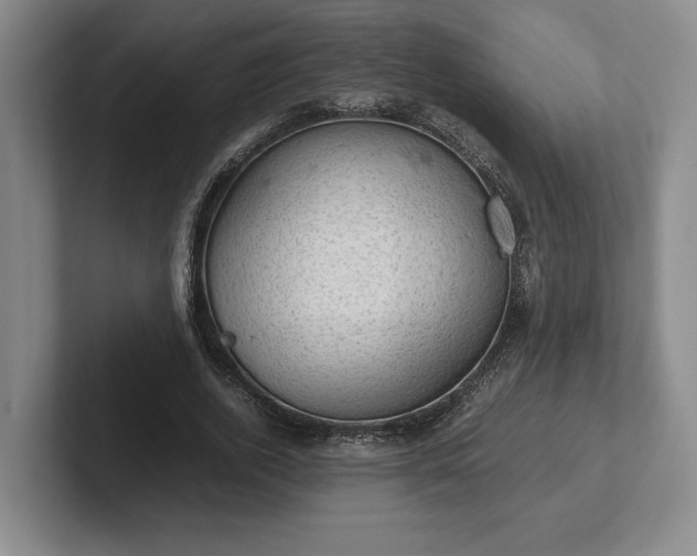 X0000102520728200808151532