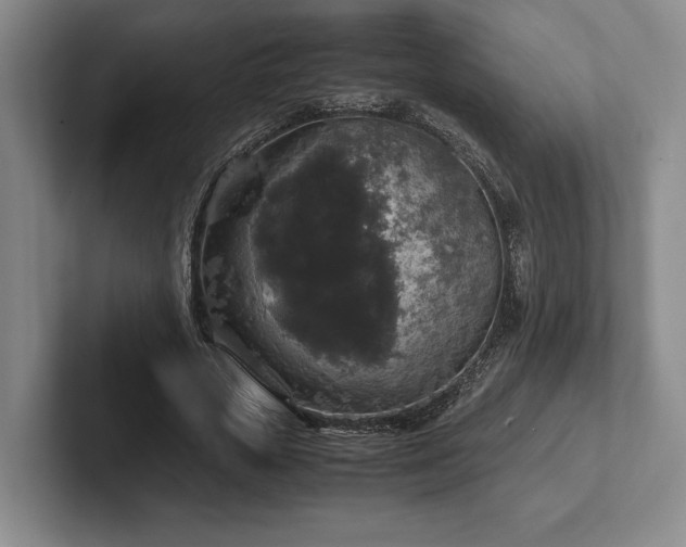 X0000102520729200808151532