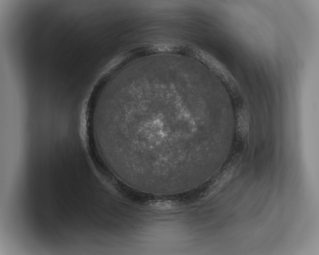 X0000102520730200808151532