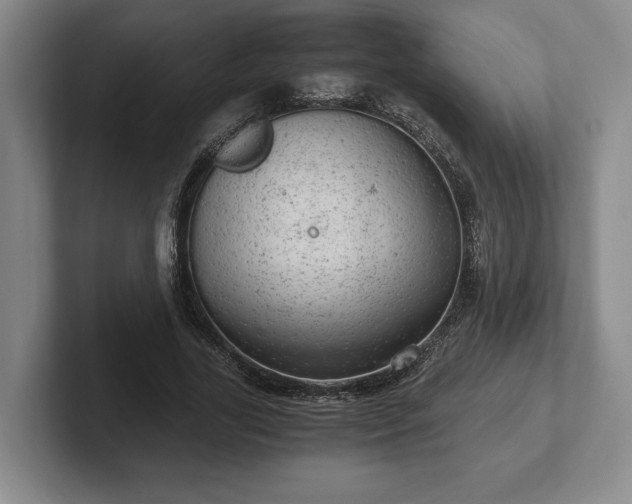 X0000102520731200808151532