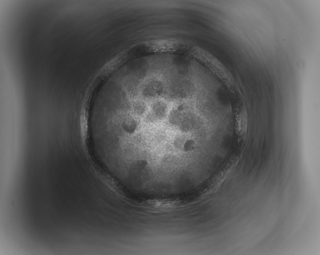 X0000102520733200808151532