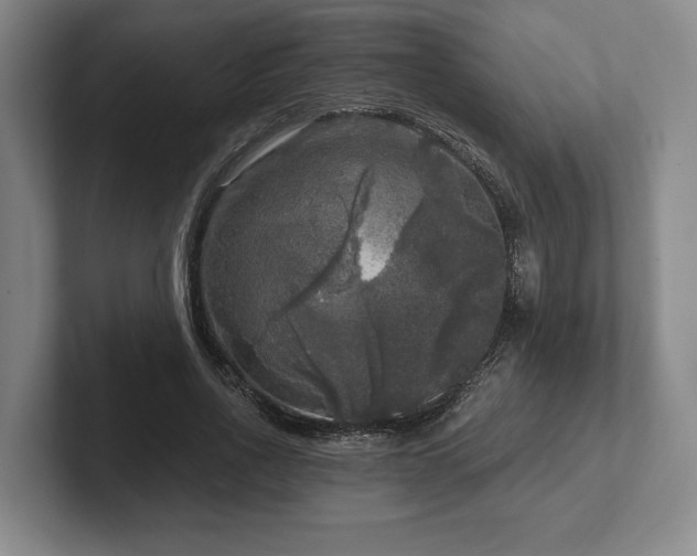 X0000102520734200808151533