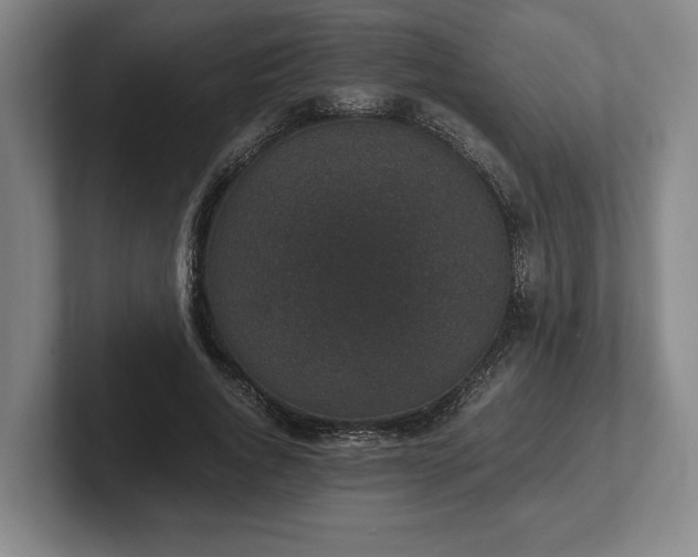 X0000102520736200808151533